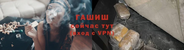 хмурый Новозыбков