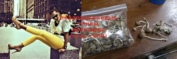 круглые Няндома