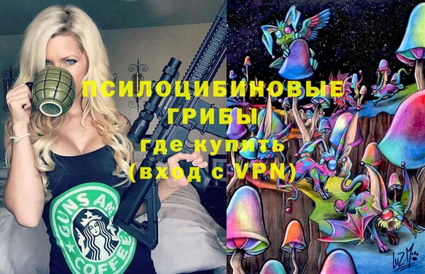 мдпв Балахна