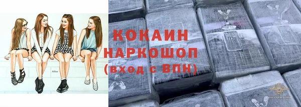круглые Няндома