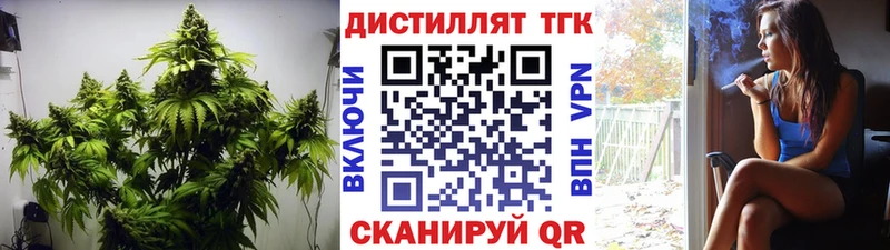 omg рабочий сайт  Энем  Дистиллят ТГК концентрат 